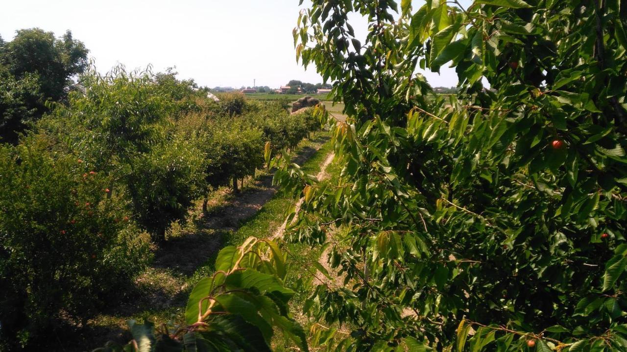 Agriturismo Taglio Del Re Villa Jesolo Bagian luar foto