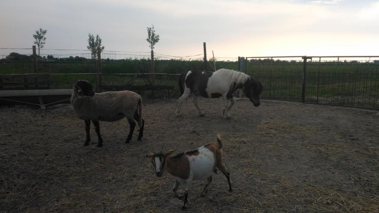 Agriturismo Taglio Del Re Villa Jesolo Bagian luar foto