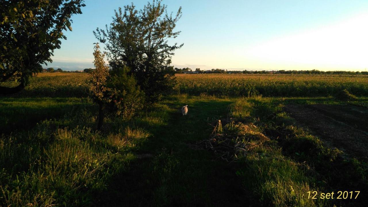 Agriturismo Taglio Del Re Villa Jesolo Bagian luar foto