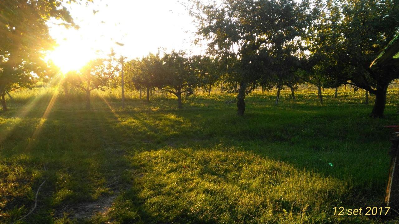 Agriturismo Taglio Del Re Villa Jesolo Bagian luar foto