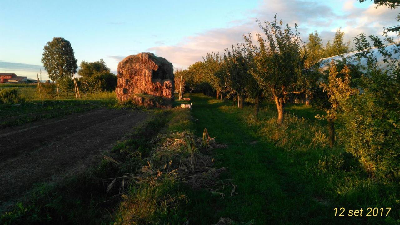 Agriturismo Taglio Del Re Villa Jesolo Bagian luar foto