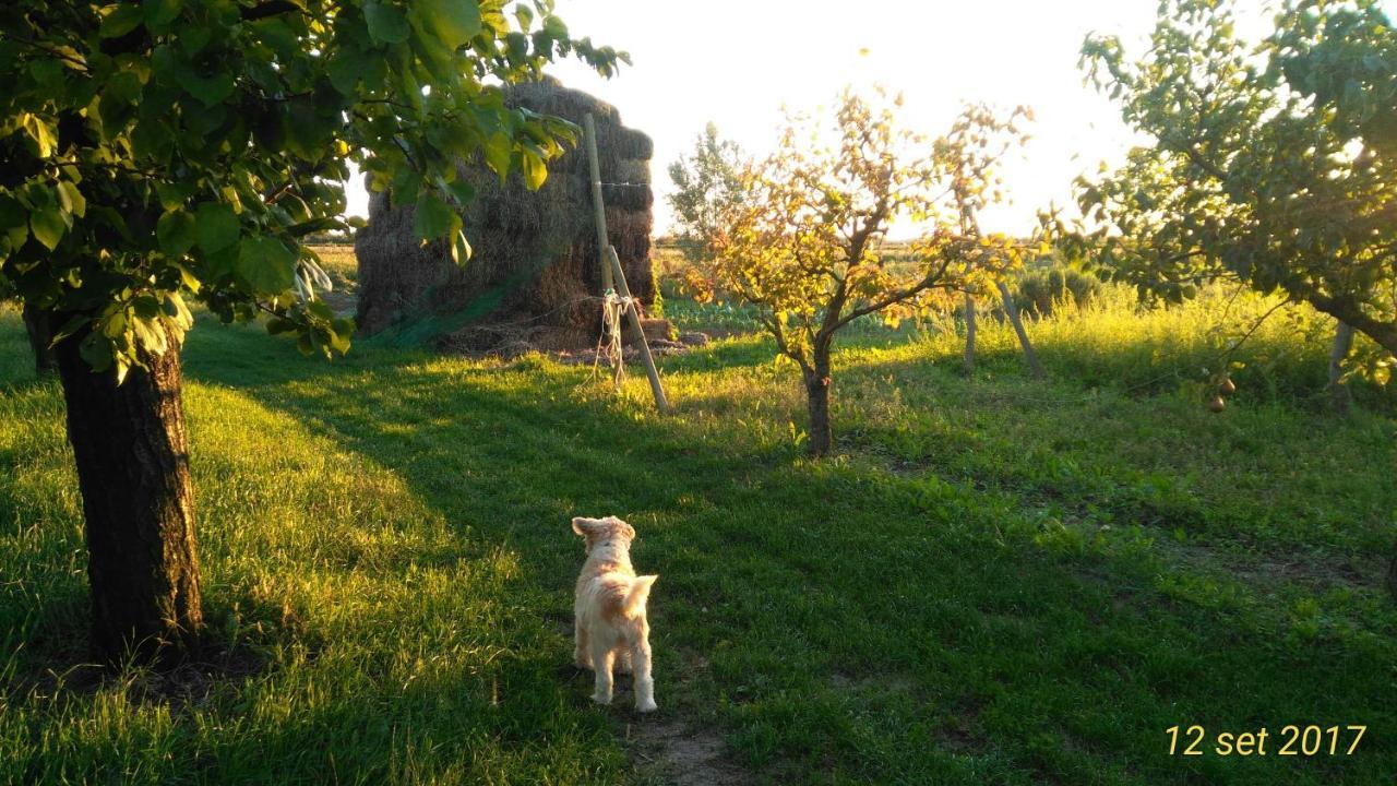 Agriturismo Taglio Del Re Villa Jesolo Bagian luar foto